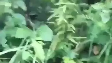Village couple’s outdoor Indian sex video from the forest